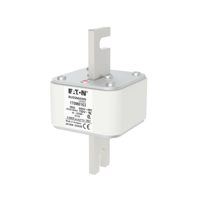 Cầu chì Eaton Bussmann 170M6163